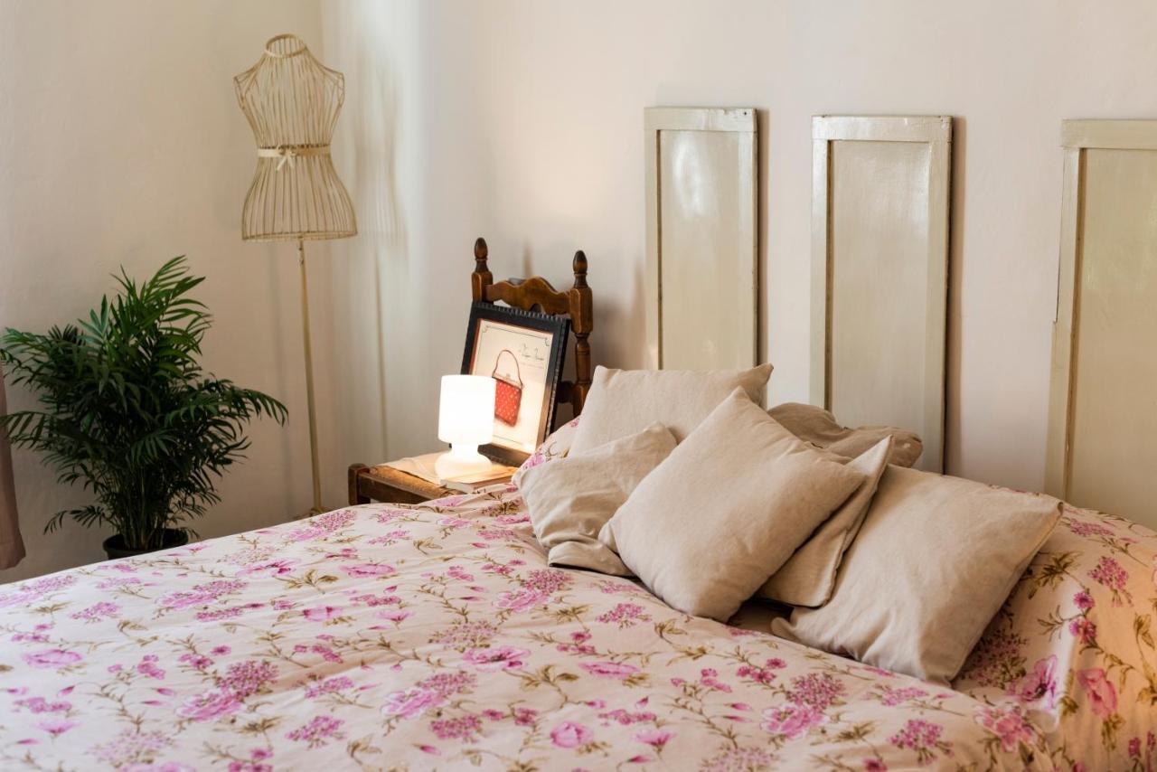 Apartamento Il Lucernario Pisa Exterior foto